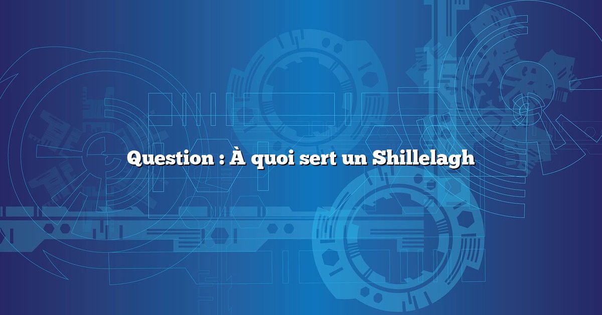 Question : À quoi sert un Shillelagh